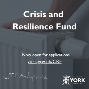 Text on image reading: Crisis and Resilience Fund