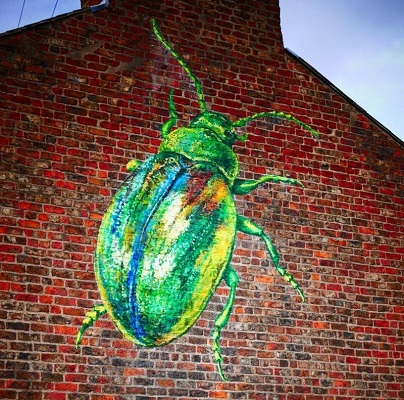 Large Tansy beetle painted on a brick wall