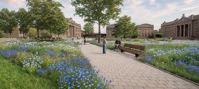 Illustrative sketch showing the proposed planting and seating. source: BDP