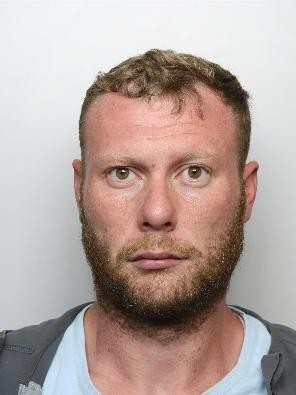 Man with a beard looks straight into the camera