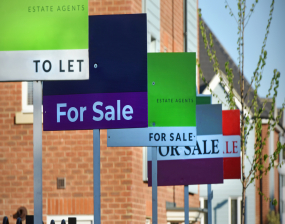 A line of estate agents signs