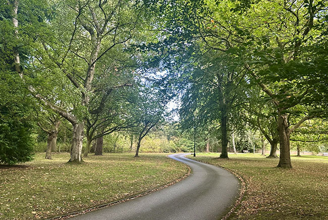 York Crematorium entrance road.