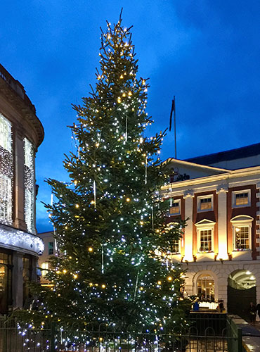 Winter lights near the Mansion House, St Helen's Square, York.