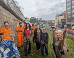 York walls in bloom