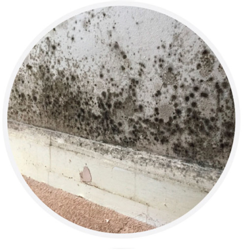 Dampness from condensation