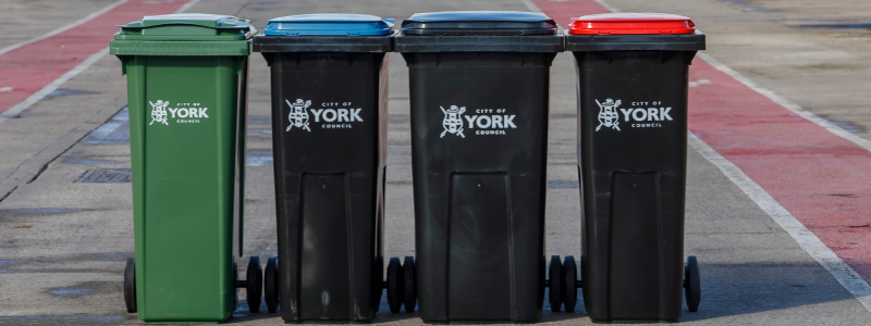 Wheelie bins for different types of kerbside waste collections; green for garden waste, black for household waste, and 2 new black bins for recycling; one with a red lid (for plastic, cans, cartons and glass), and one with a blue lid (for paper and cardboard).