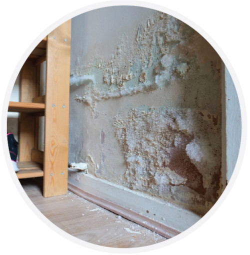 Rising damp