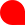 Socialist Alternative Party (Bright Red).