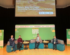 A photo of the Climate Change Summit - Nature solutions panel including the screen